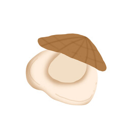 Scallop