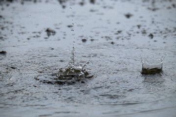 Abstract pattern and texture background of rain splashes in the yard. For graphic design, 3D...