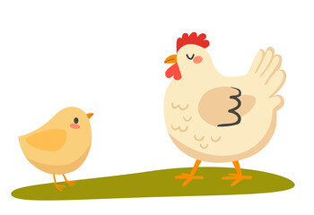 A cute little hen looks at her mother chicken