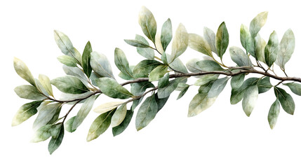 Botanical Whispers: A gentle sprig with a collection of textured green leaves, painted with watercolor, is a testament to the beauty of nature's detail. This artwork exudes freshness.