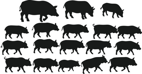 Obraz premium collection of wild animals