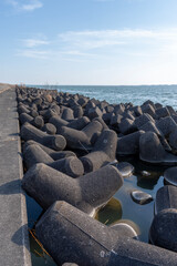 霞ヶ浦麻生直線堤防のテトラポッド