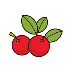 Obraz premium Cranberry vector with white background