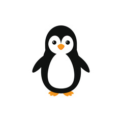 penguin on a white background