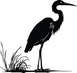 Obraz premium Black Silhouette of a Heron Standing Near Grass - Vector EPS Illustration for Wildlife, Wetland Birds, and Nature-Inspired Designs