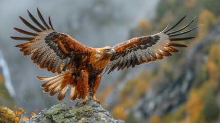 Obraz premium A brightly colored eagle flapping its wings in the sky, details in focus against a blurred background