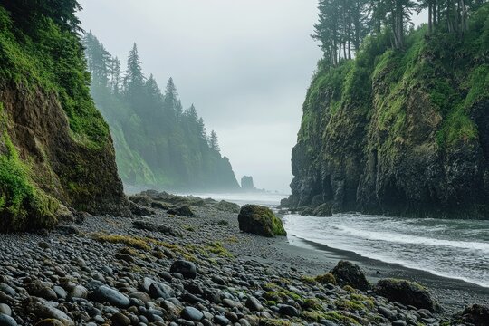 Misty coastal scene with rugged cliffs and a pebble beach. Lush greenery clings to the dramatic rock formations, meeting the dark, pebbled shoreline. A light