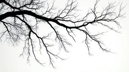 Fototapeta premium Minimalist Black and White Tree Branches Silhouette Modern Japanese Ink Art High Contrast Negative Space Composition