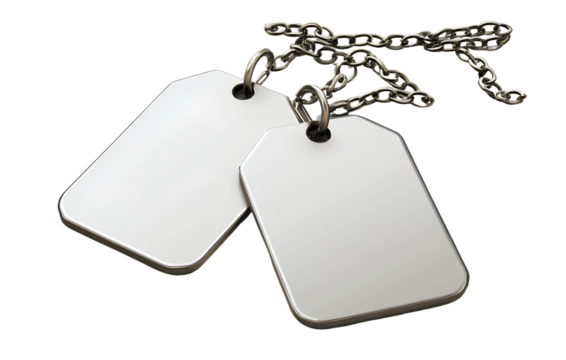 Two blank white dog tags on a chain, isolated against a transparent background