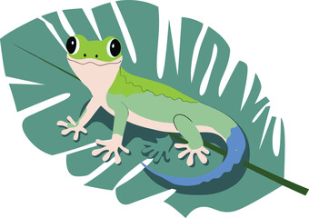 Fototapeta premium Cute gecko cartoon on white background
