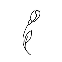 single flower outline design