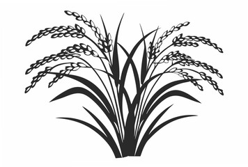 palm tree isolated on white