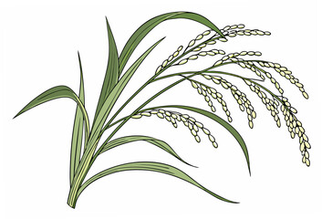 Obraz premium grass isolated on white background