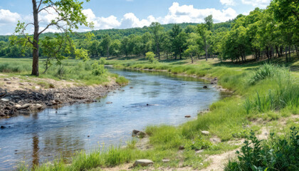 Serene River Landscape in Lush Green Valley