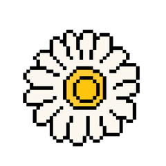 Obraz premium Flat design pixel art daisy flower illustration