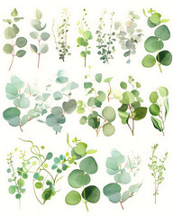 Obraz premium .Illustration of trees, leaves, grass and various botanical elements on a white background.