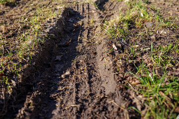 Deep tire tracks in muddy terrain