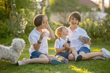 Fototapeta premium Happy children, holding little chicks in the park, playing together, maltese dog around