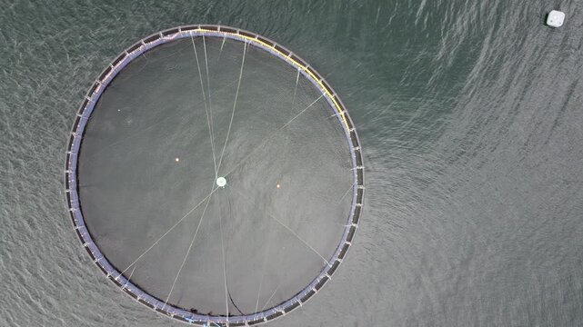 Atlantic salmon pens on a fish farm off the coast of Argyll and Bute near Oban Scotland UK.