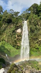 Obraz premium waterfall in the jungle