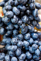 blueberries close up