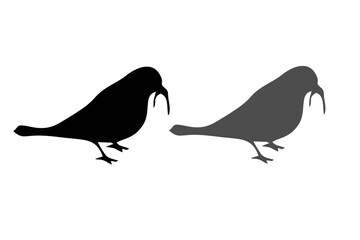 collection of birds silhouette vector illustration