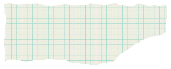 Ripped Cage Paper