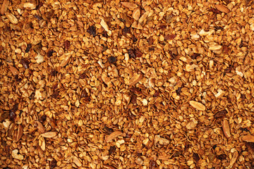 Golden Brown Homemade Granola with Nuts, Seeds and Raisins. 