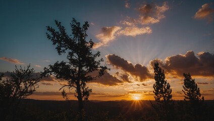 Scenic Sky at Sunrise or Sunset with Golden Sun Rays and Silhouette of Trees Against a Colorful Sky