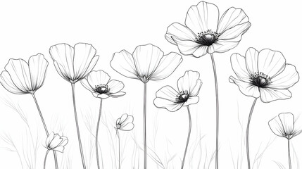 Naklejka premium Elegant line drawing of blooming poppies in a field, perfect for wedding invitations or home decor