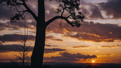 Naklejka premium Silhouette of a grand tree against a vibrant sunset with dramatic clouds, evoking a sense of tranquility and the beauty of nature