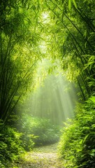 Obraz premium A serene pathway through a lush bamboo forest illuminated by soft rays of sunlight, creating a tranquil and inviting atmosphere.