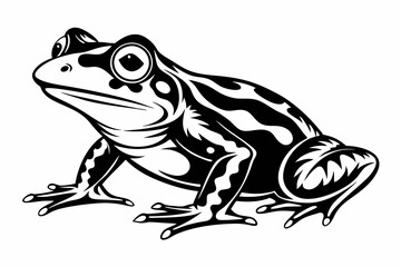frog line art silhouette vector illustration