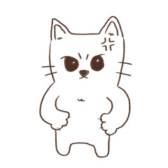 Angry cat 😾 