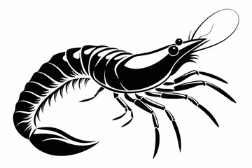 shrimp line art silhouette vector illustration