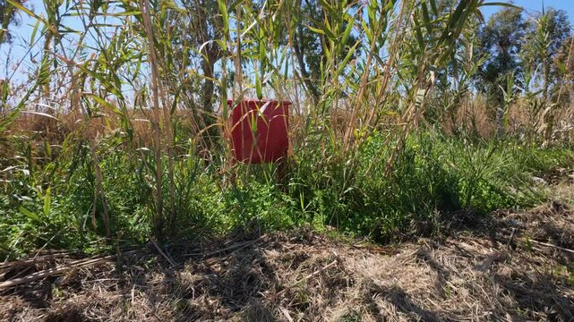 Iron fire box in dense vegetation of rural park