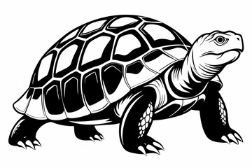 tortoise line art silhouette vector illustration