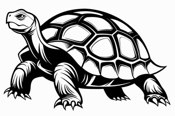tortoise line art silhouette vector illustration