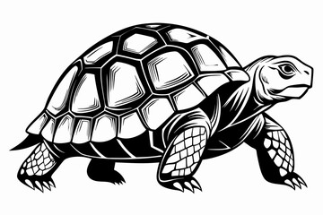 tortoise line art silhouette vector illustration