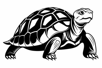 Fototapeta premium tortoise line art silhouette vector illustration