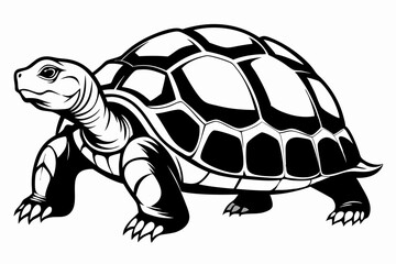 tortoise line art silhouette vector illustration