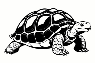 tortoise line art silhouette vector illustration