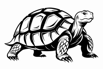 tortoise line art silhouette vector illustration