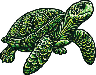 turtle. Realistic, artistic, colored drawing of a sea turtle on a transparant background
