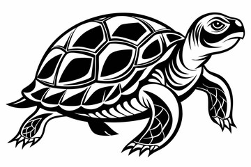 turtle line art silhouette vector illustration