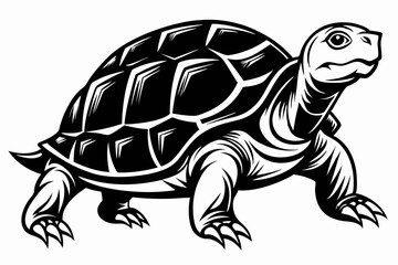 turtle line art silhouette vector illustration