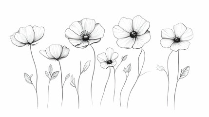 Naklejka premium Elegant pencil sketch of blooming wildflowers, isolated on white; ideal for greeting cards or invitations