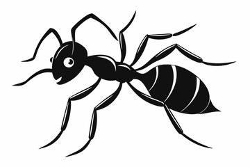 ant line art silhouette vector illustration