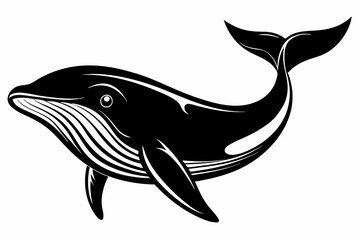 whale line art silhouette vector illustration