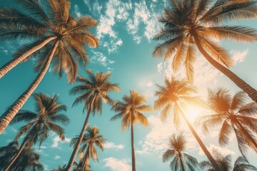 Tropical palm trees sunlight beach paradise sky clouds digital painting